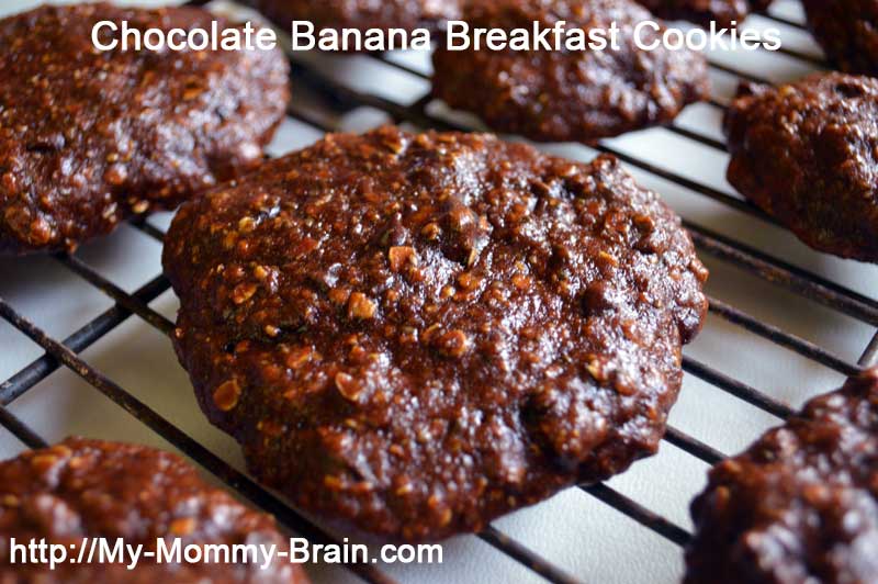 Chocolate Banana Breakfast Cookies https://lifeofaginger.com/~mymommy9